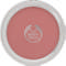 All In One Blush 03 Flushed 4g
