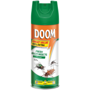 Insecticide Spray Odourless 450ml