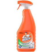 Mildew Cleaner 500ml