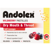 Pastilles Wildberry 20