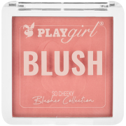 Blusher Powder Bitter Sweet