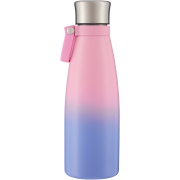 Stainless Steel Water Bottle 500ml